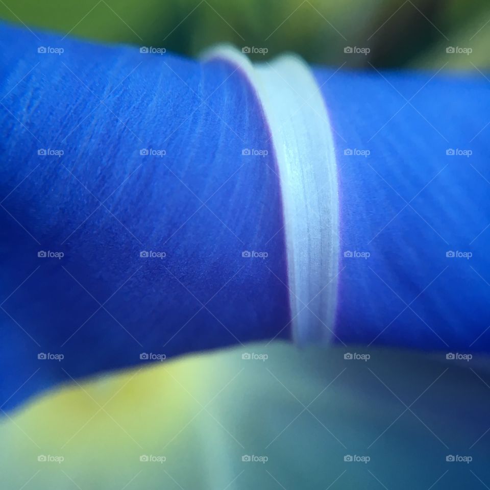 One object - one color