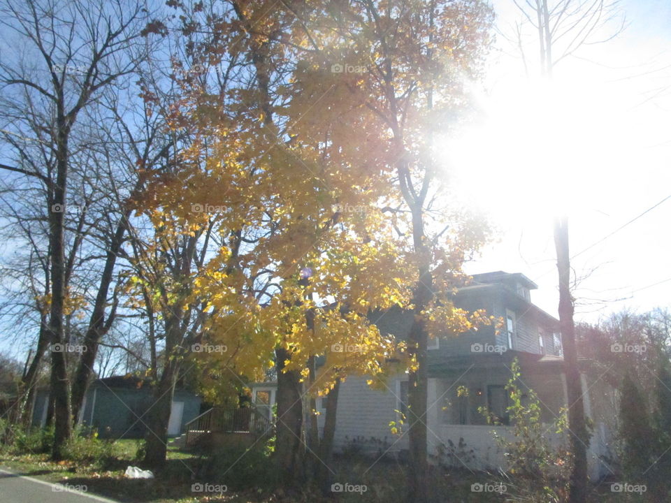 Illuminating sunrays