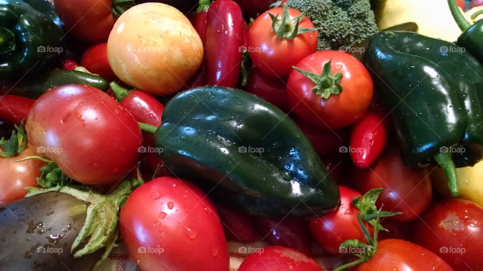 Garden Veggies. Vegetable bounty from my Portland, Oregon garden.