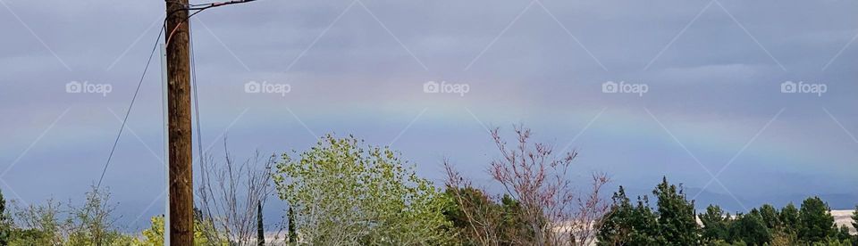 Beautiful blessings after rain!!!