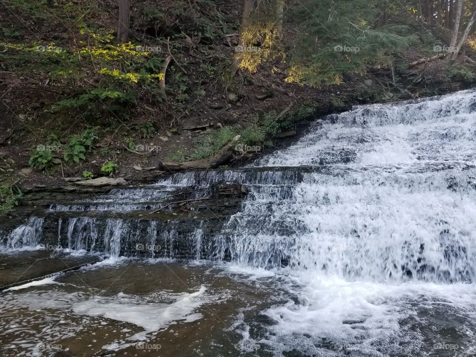 Water, Stream, River, Waterfall, Landscape