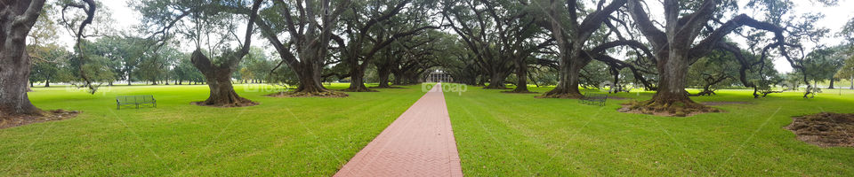 Oak Alley Plantation in New Orleans