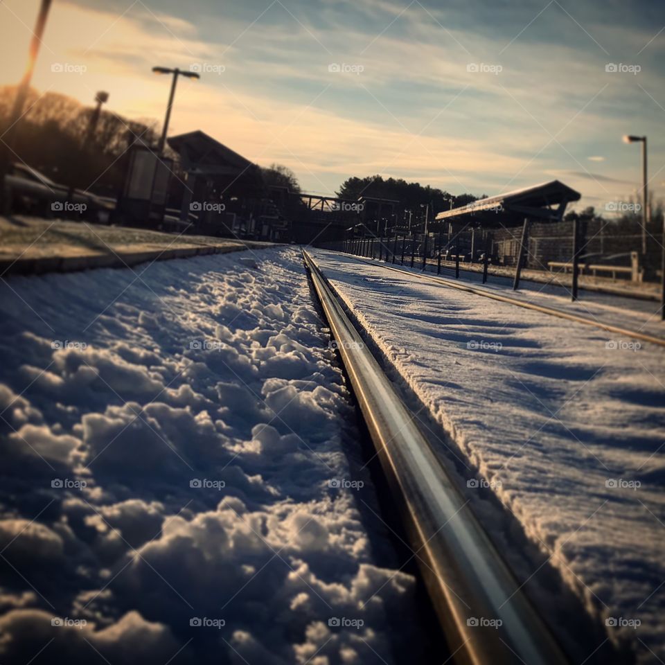 Tracks in winter