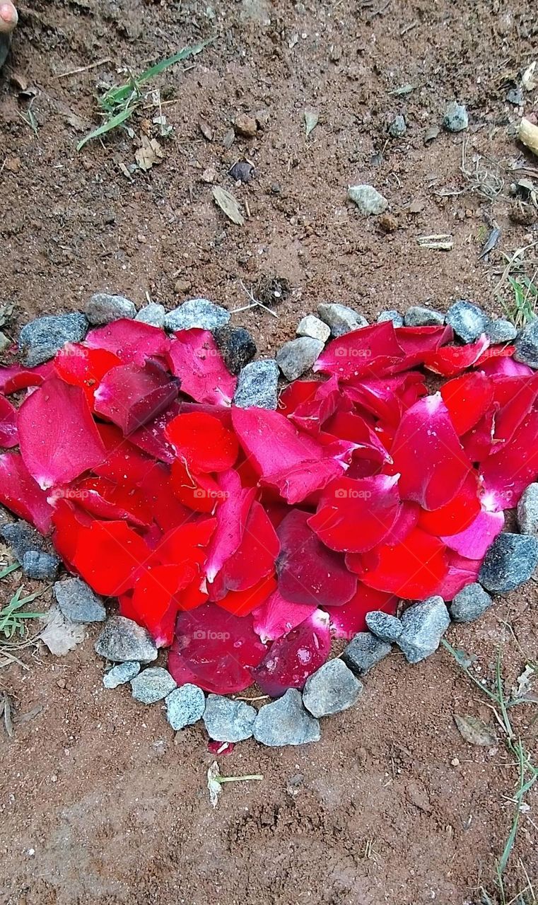 explosion of colors heart