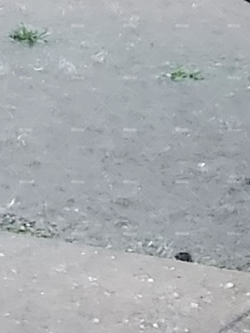 some pea size hail and lots of rain, April showers bring may flowers, if they don't get washed away.