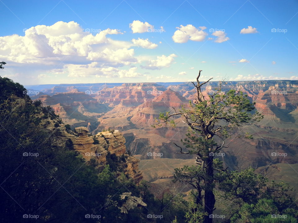 Cloudy Canyon. First trip to the Grand Canyon.