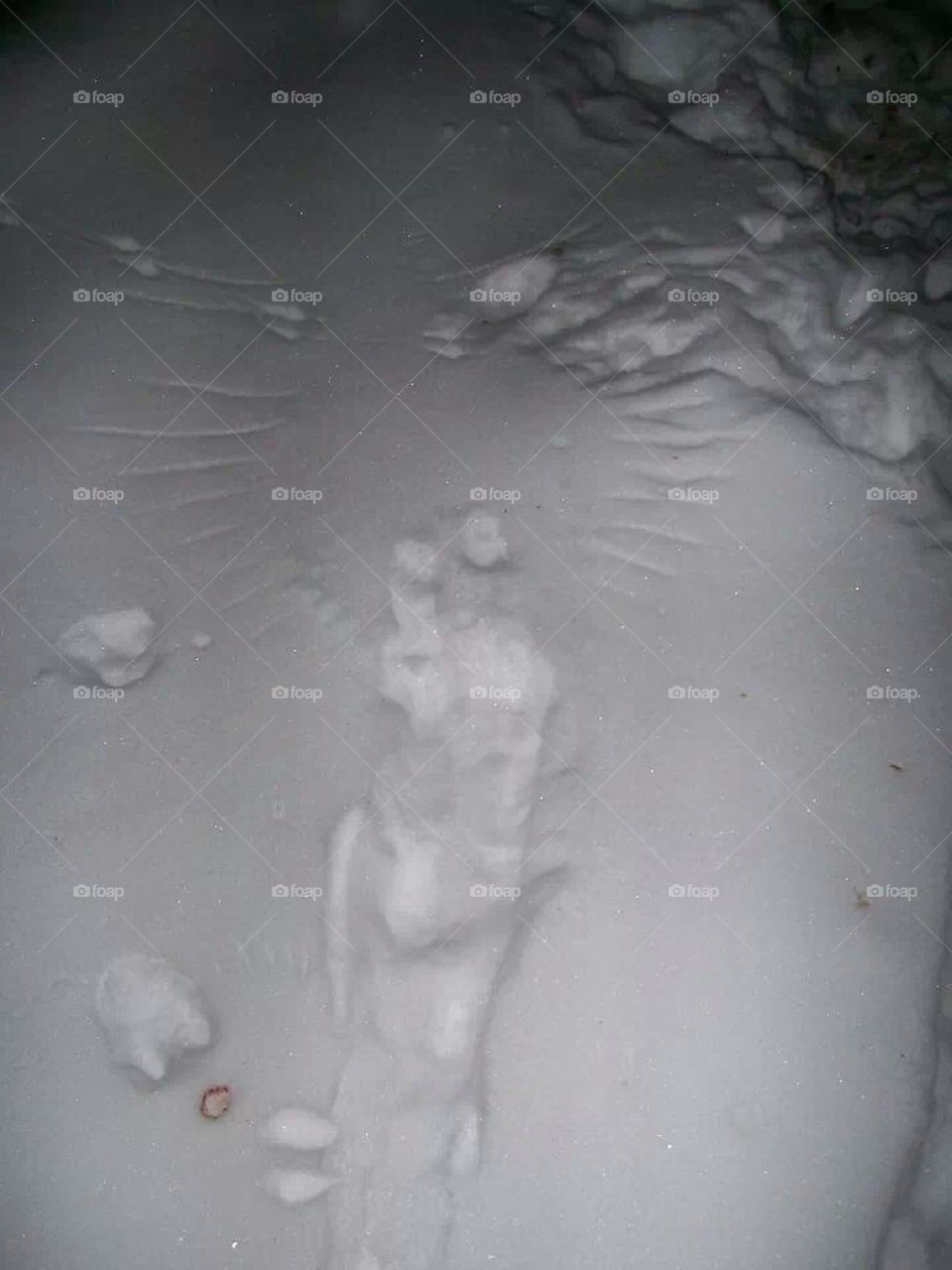 snow imprint