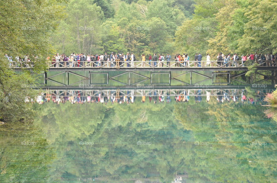 people on a bridge in a park, strong water reflection