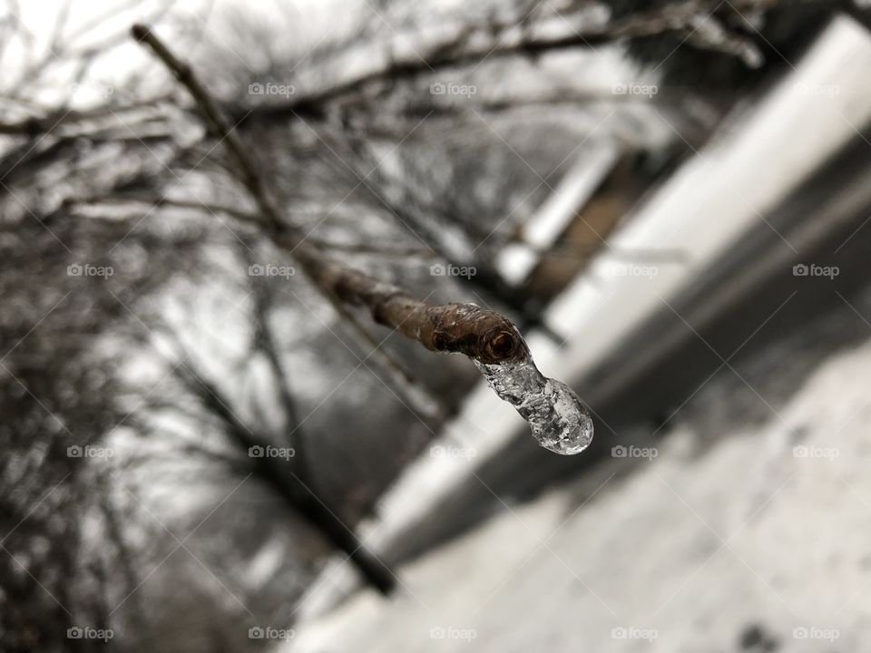 Even icicles can be pretty... even when it’s below freezing! 