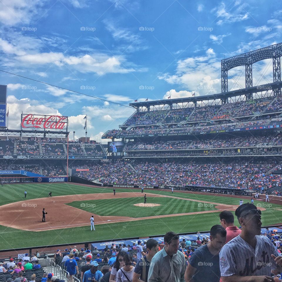 Baseball, Stadium, Athlete, Competition, Baseball Bat