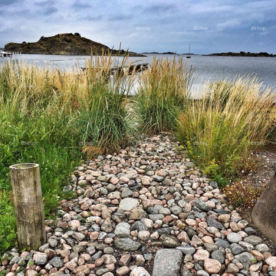 Path to the beach