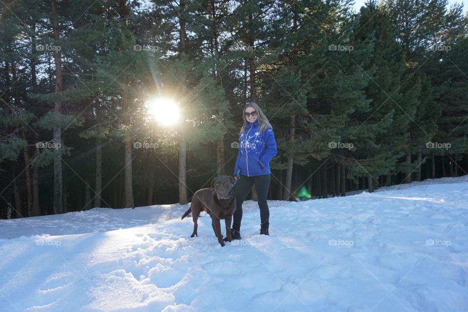 Snow#human#dog#sun