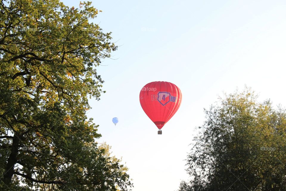 Hot air balloon in the sky. The balloon has just ascended through the trees