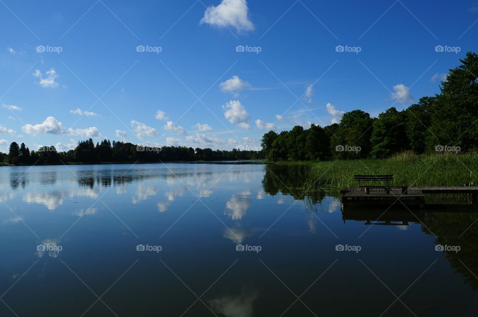 Lake, Reflection, Water, River, Tree