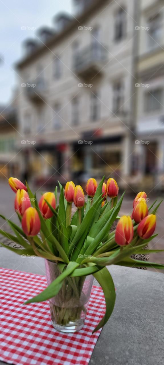 Tulips