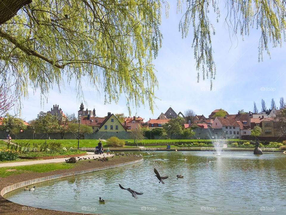 Idyllic lake and houses