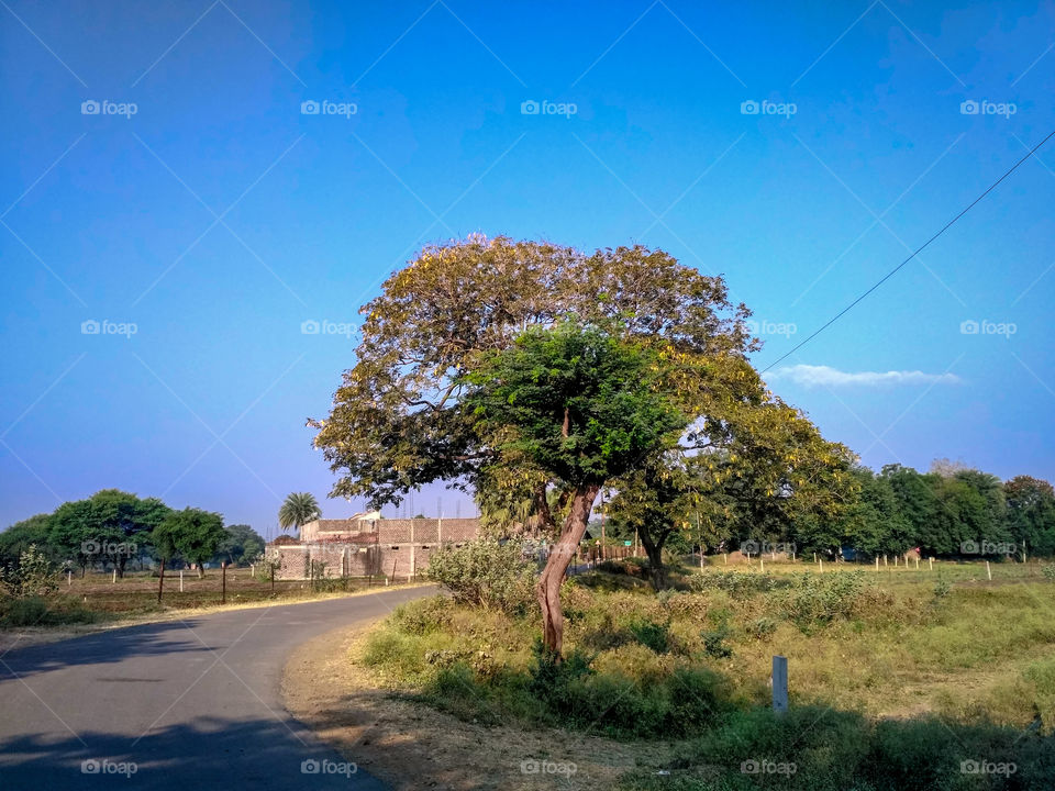 Countryside / Rural area / Randomly clicked