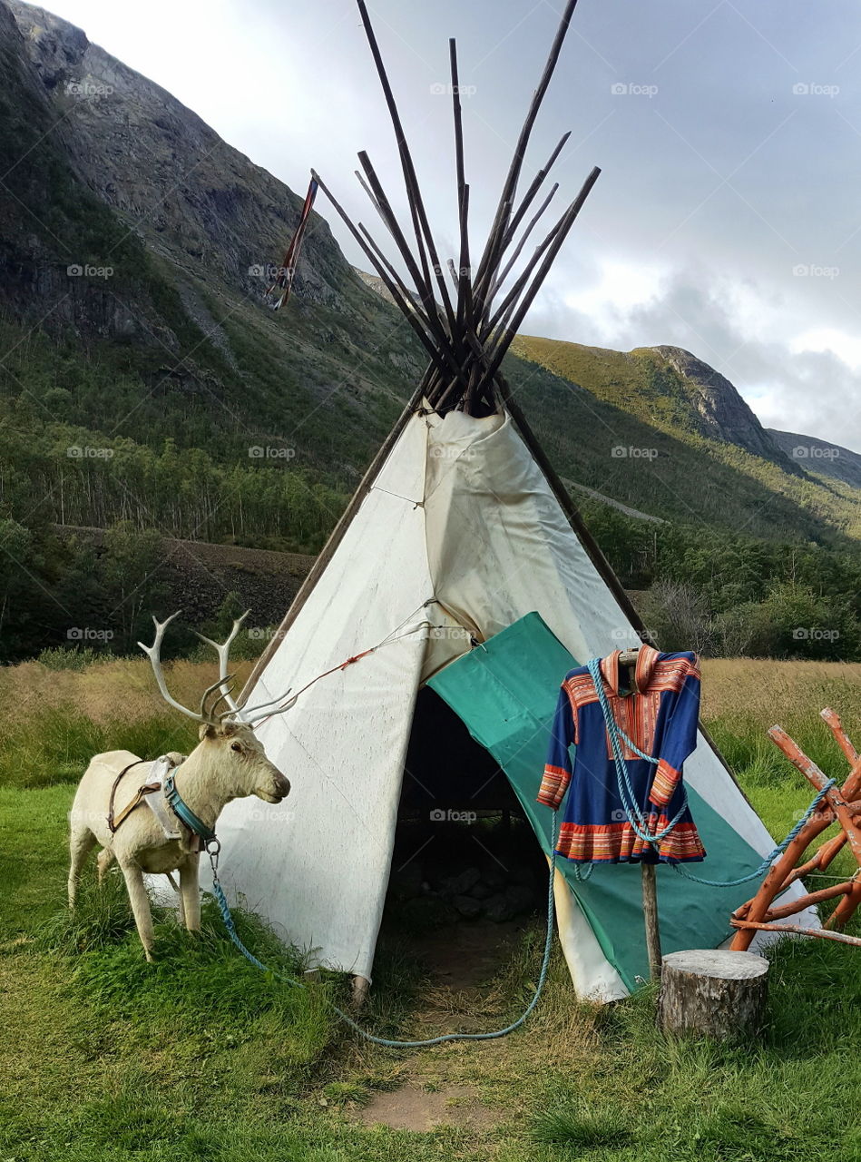 Sami culture in N