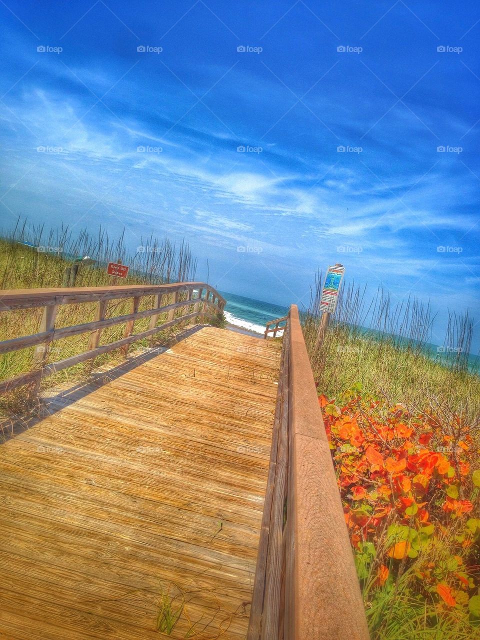 Boardwalk