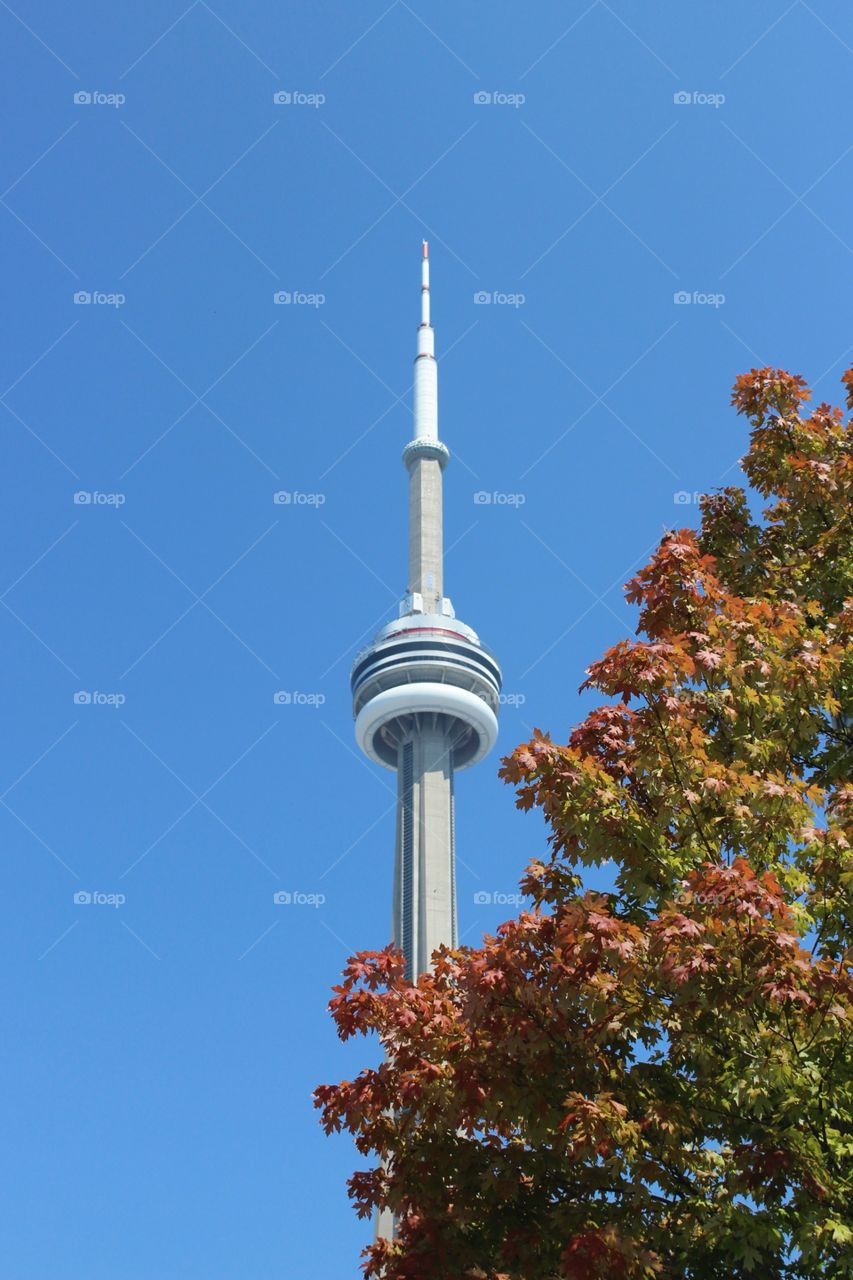 CN Tower Toronto