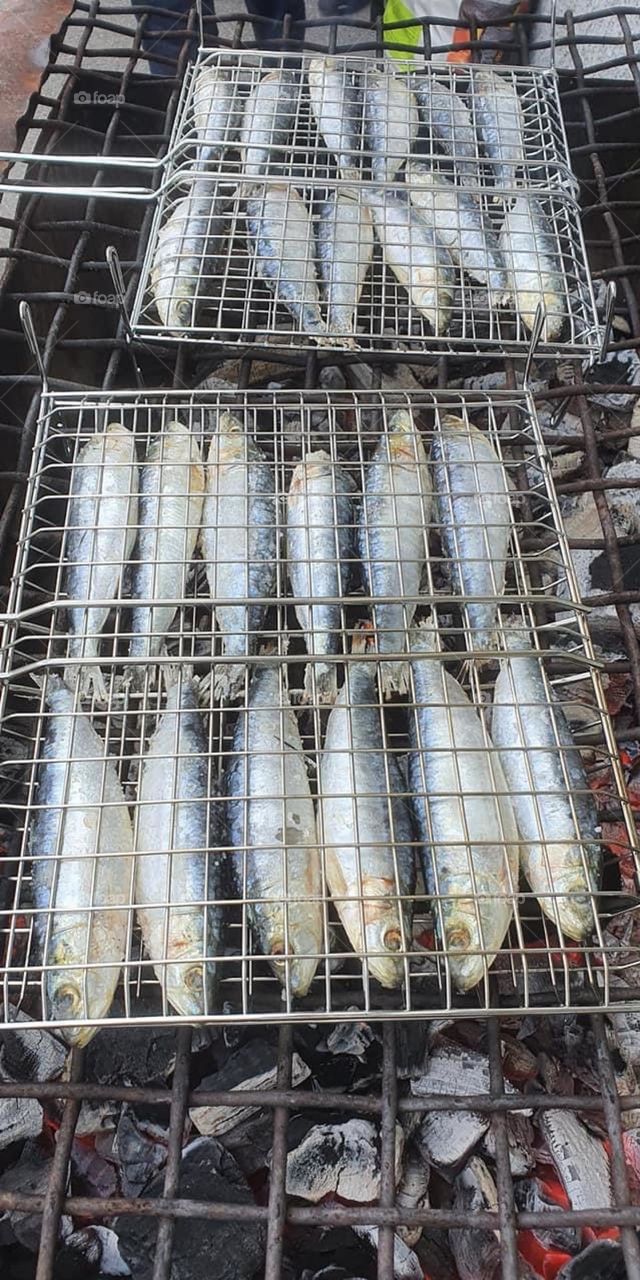 Grilled Sardine, Sardinha Assada, Lisboa, Portugal 