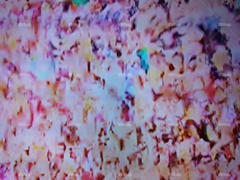 Colorido