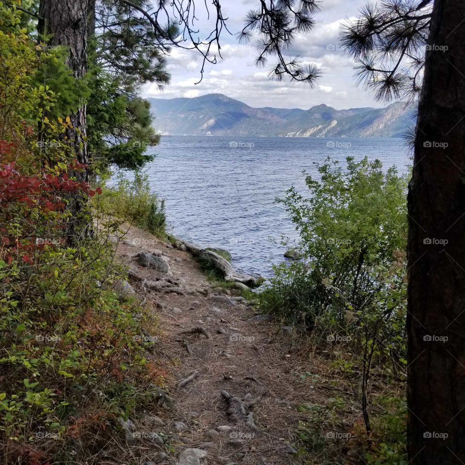 shoreline hiking trail thru trees view of lake and mountain ridge under a cloudy sky