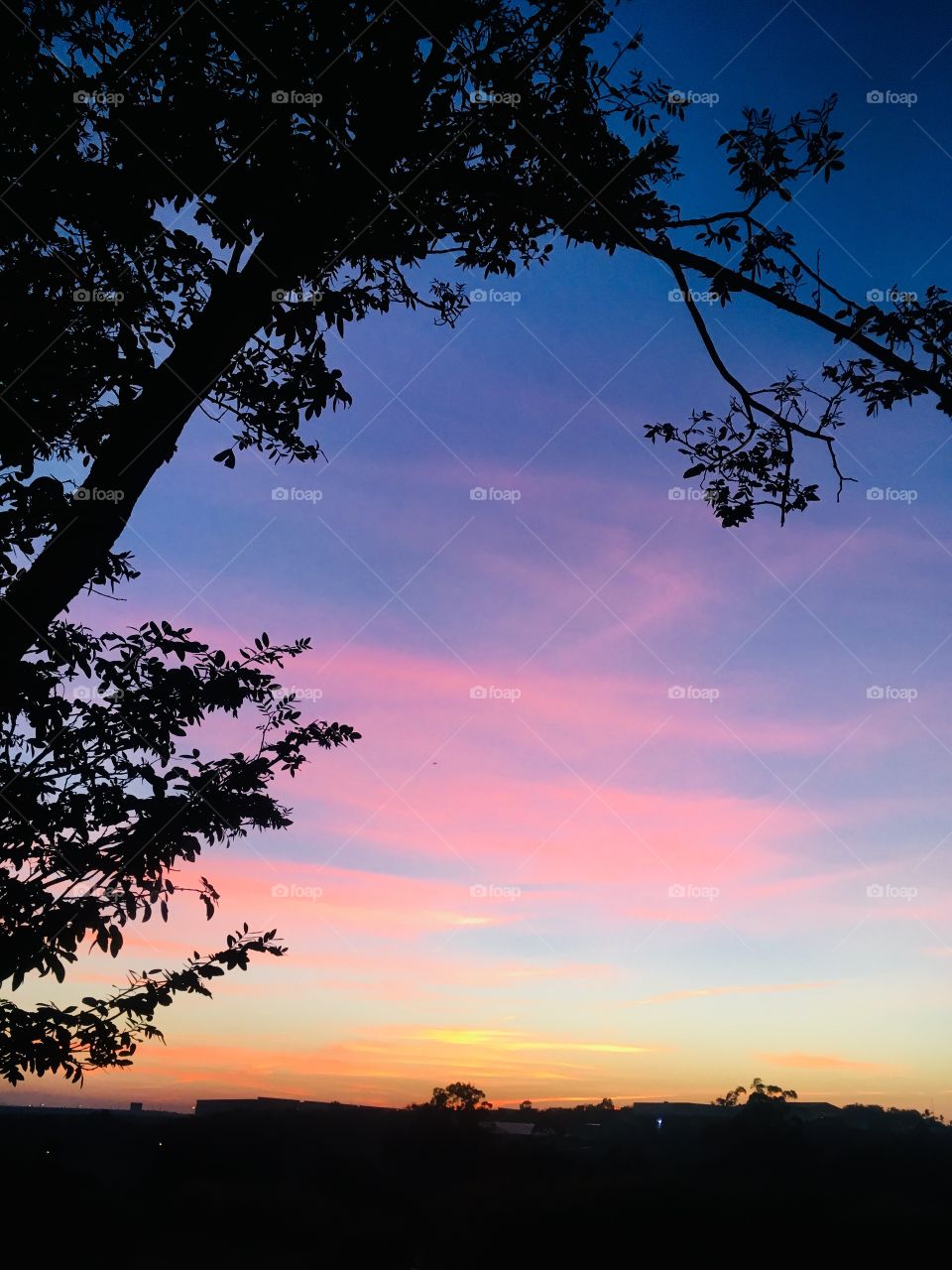 🌅Desperte, #Jundiaí.
Que o #domingo possa valer a pena!
🍃
#sol #sun #sky #céu #photo #nature #morning #alvorada #natureza #horizonte #fotografia #pictureoftheday #paisagem #inspiração #amanhecer #mobgraphy #mobgrafia #AmoJundiaí