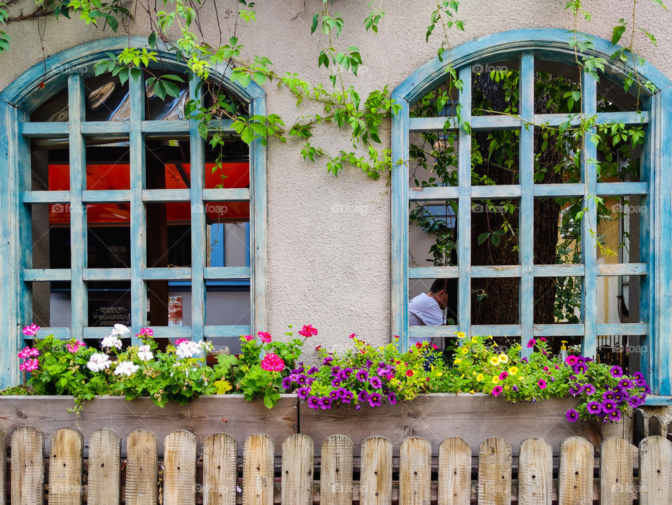 Double window view