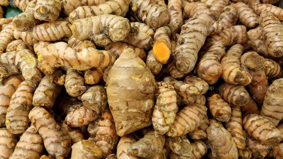 Fresh Turmeric roots