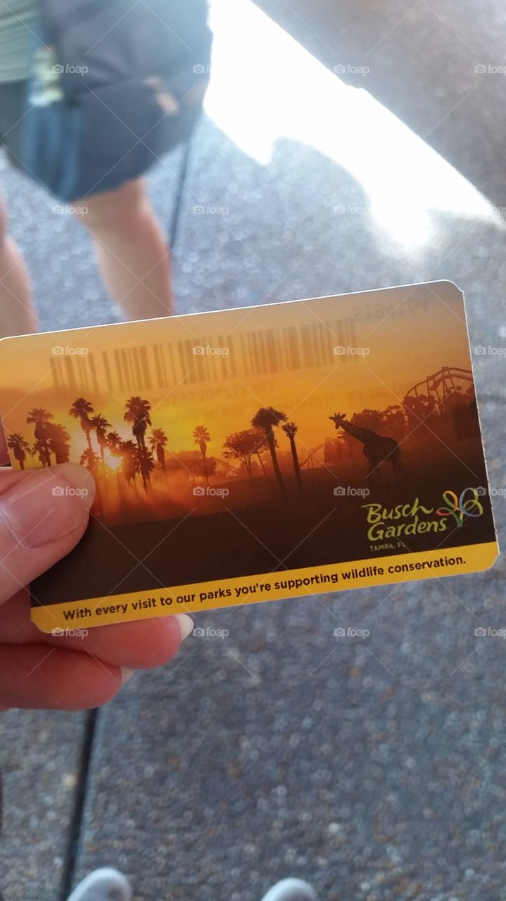 Ticket to Busch Gardens