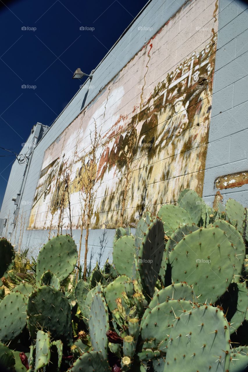 cactus and mural