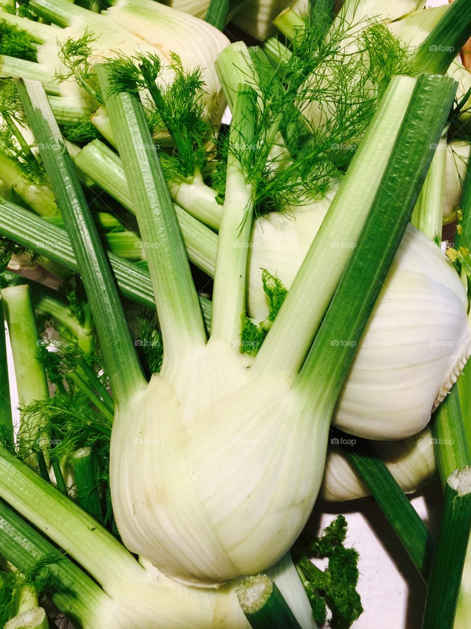 Fennel