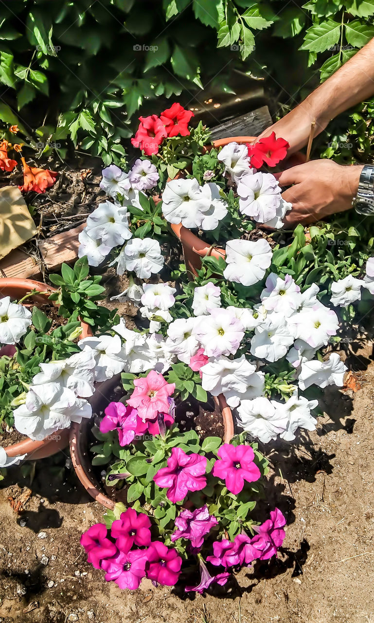 gardening close-up