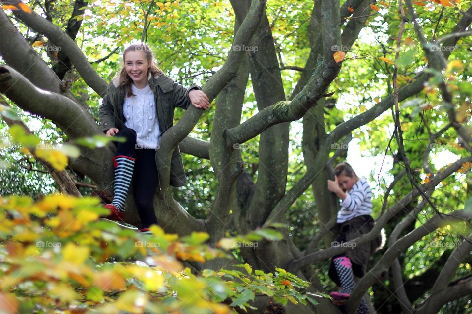 Tree climbing 