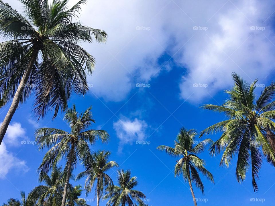 Beautiful tropical beach and Blue sky, Summer, Vacation