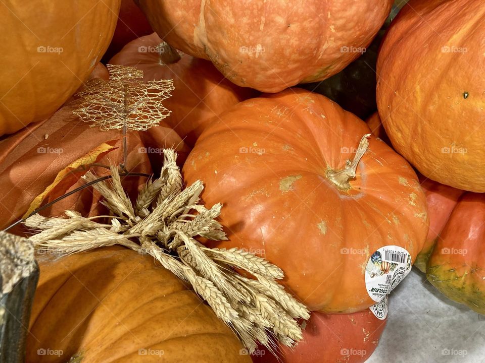 Getting ready for Halloween photography mission 