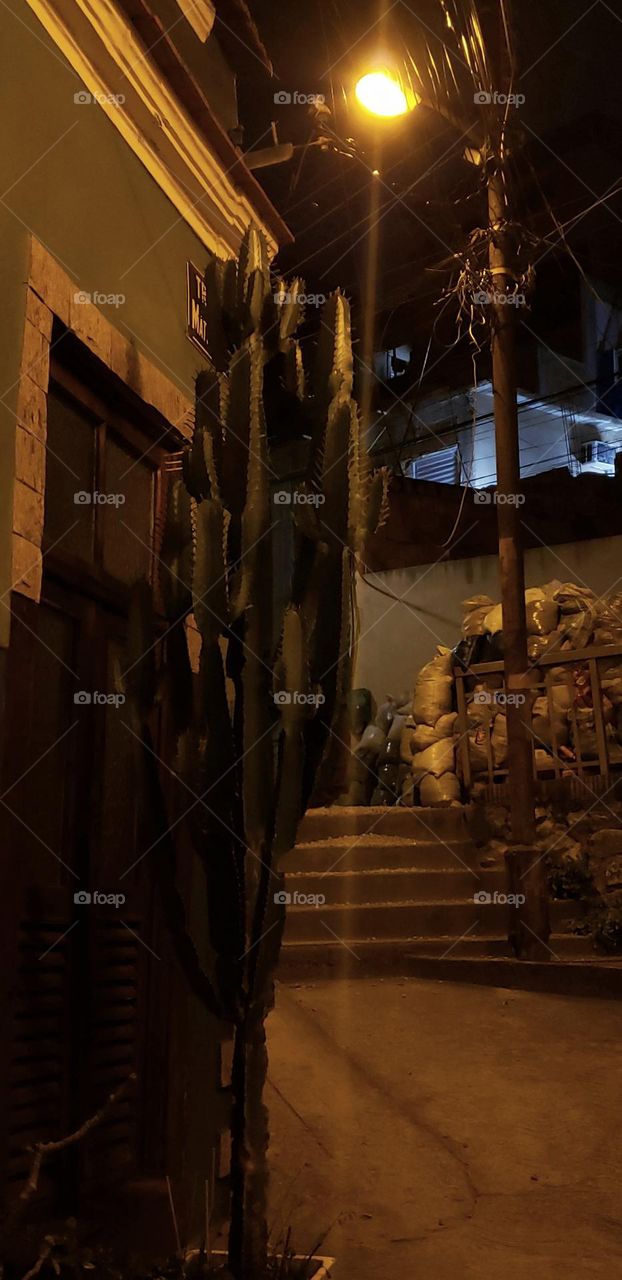 Morro da Conceição