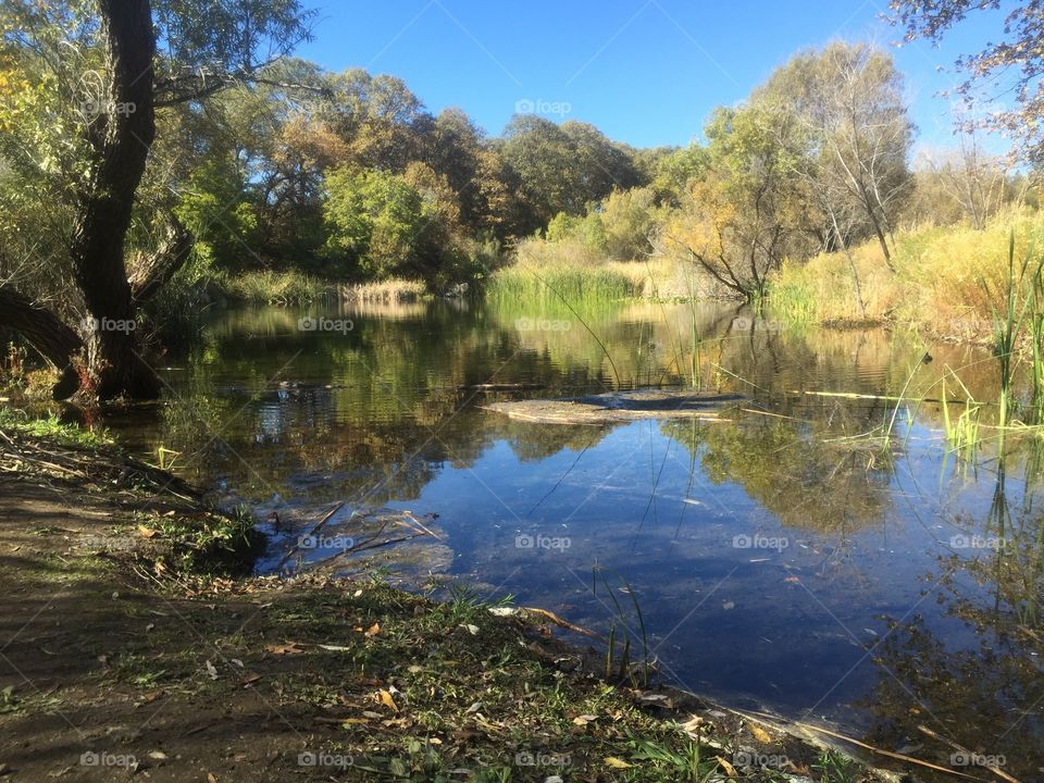 Oak Glen Preserve  |  Pond

No filter. Just nature at its best. 