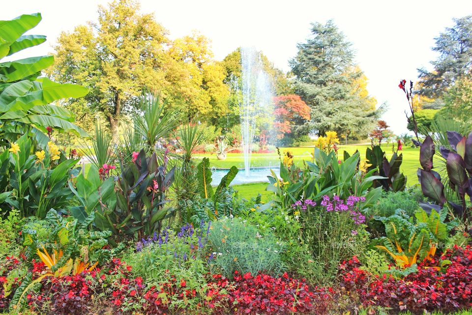 an urban garden in the city center of Lindau, Germany.