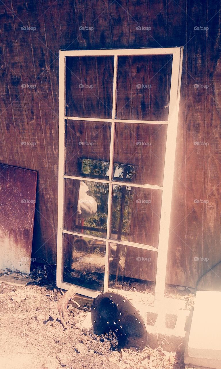 Through Every Door is...