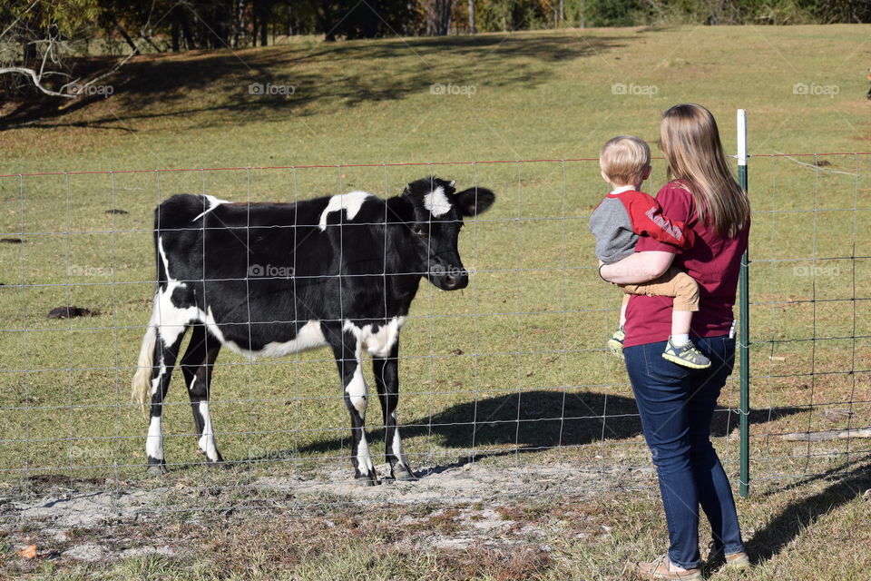 Meeting the newest family member