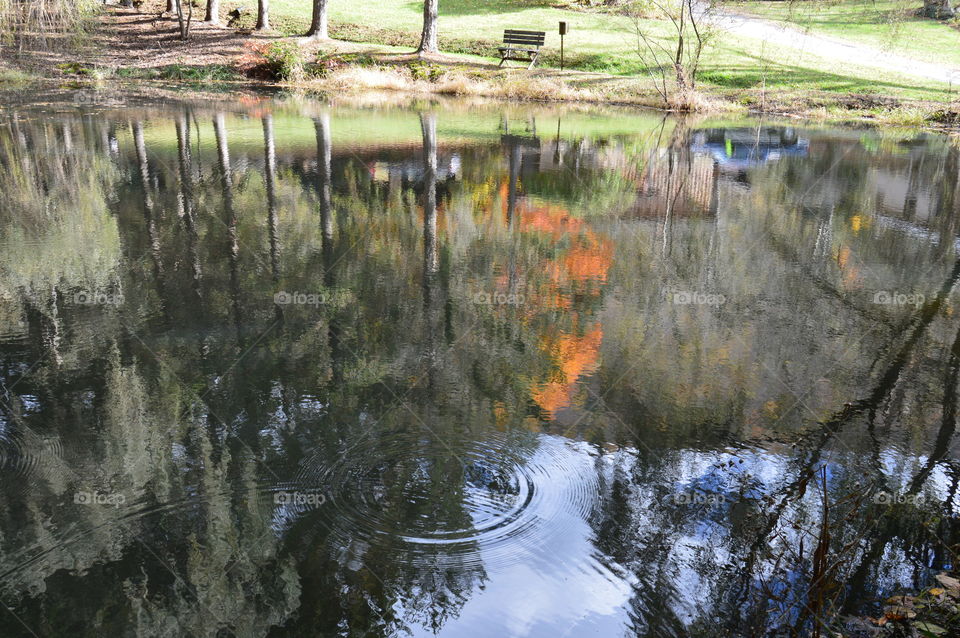 reflections in a pond of fall colors