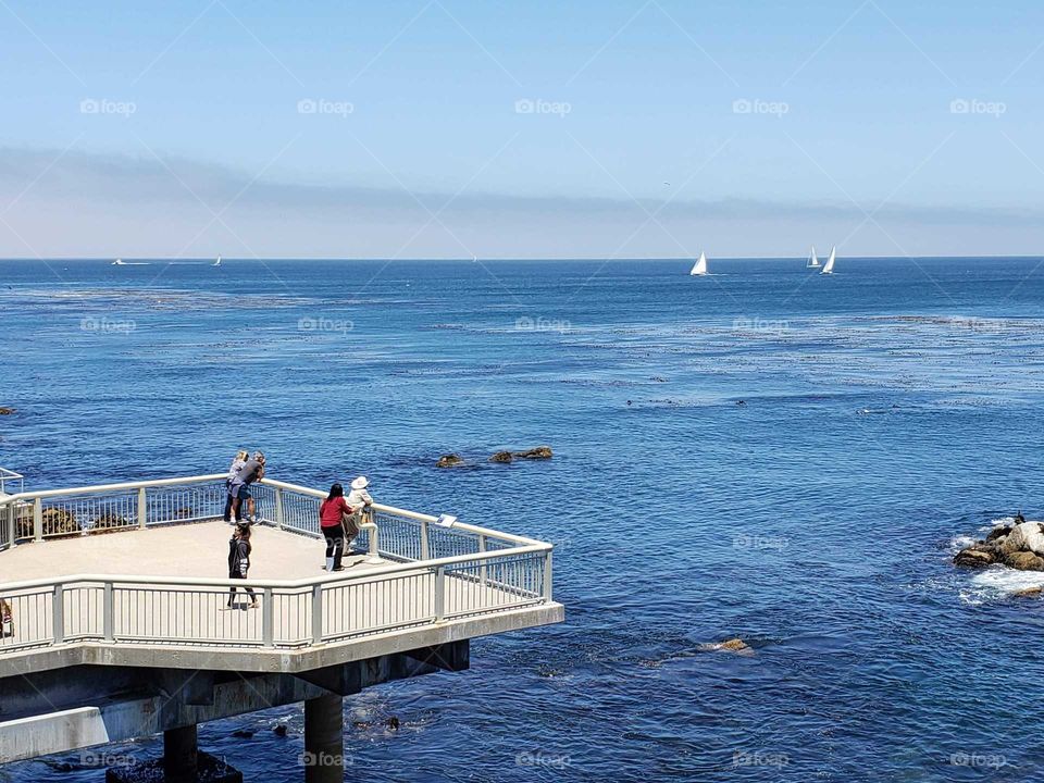 sail boats on the Pacific