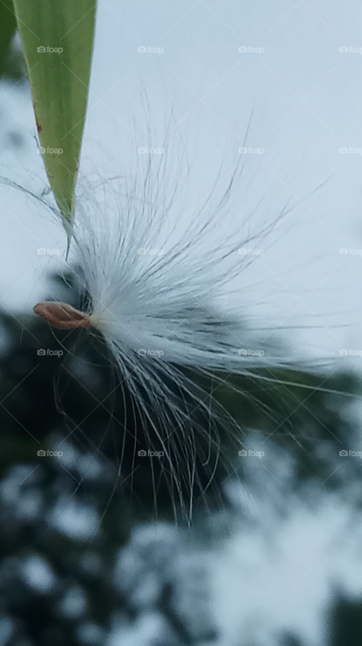 This is very nice evening click