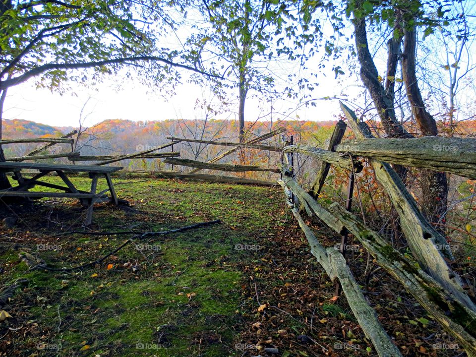 Old split rail fence. Rotting old split rail fence.