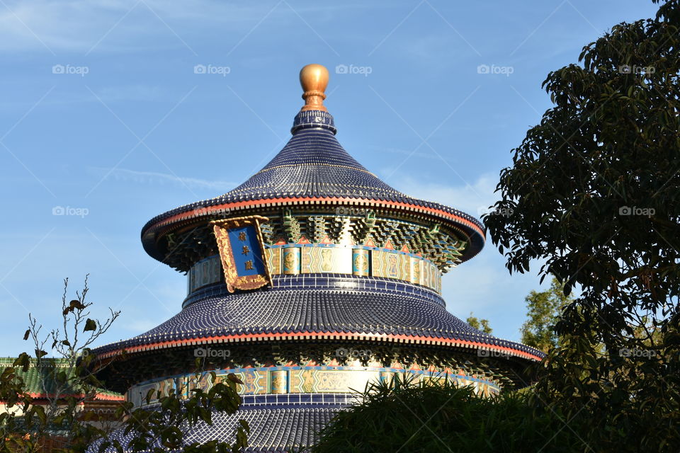 Cultural Architecture 