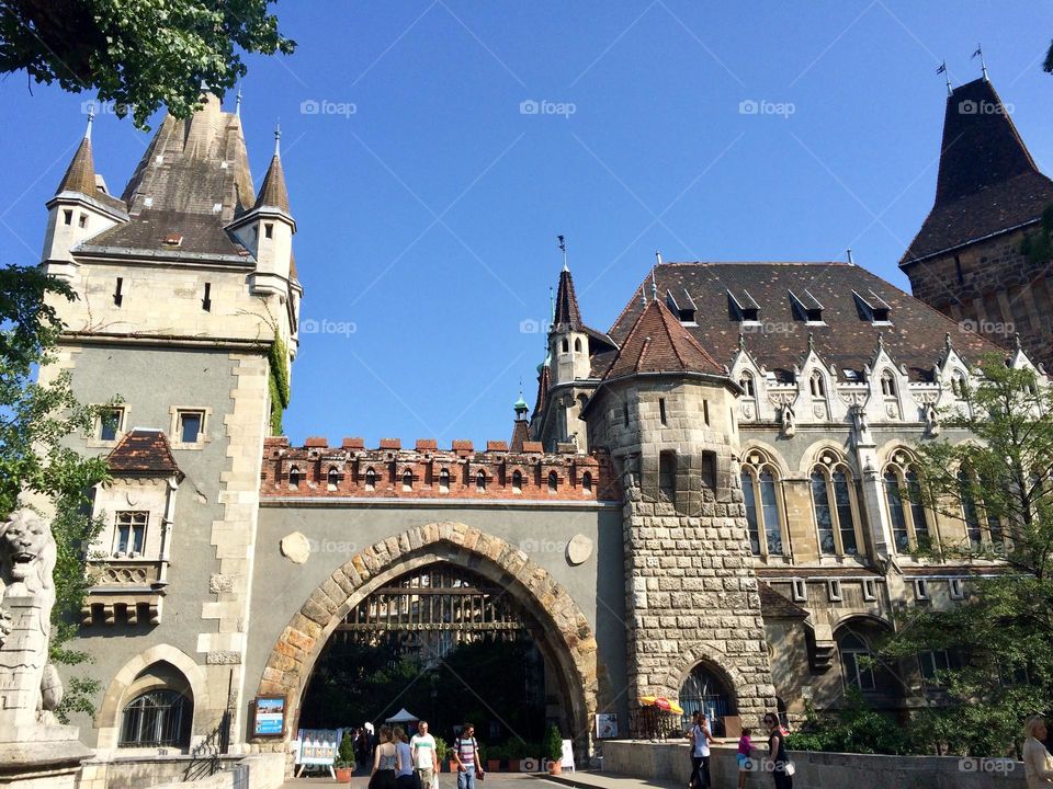 Vajdahunyad castle 