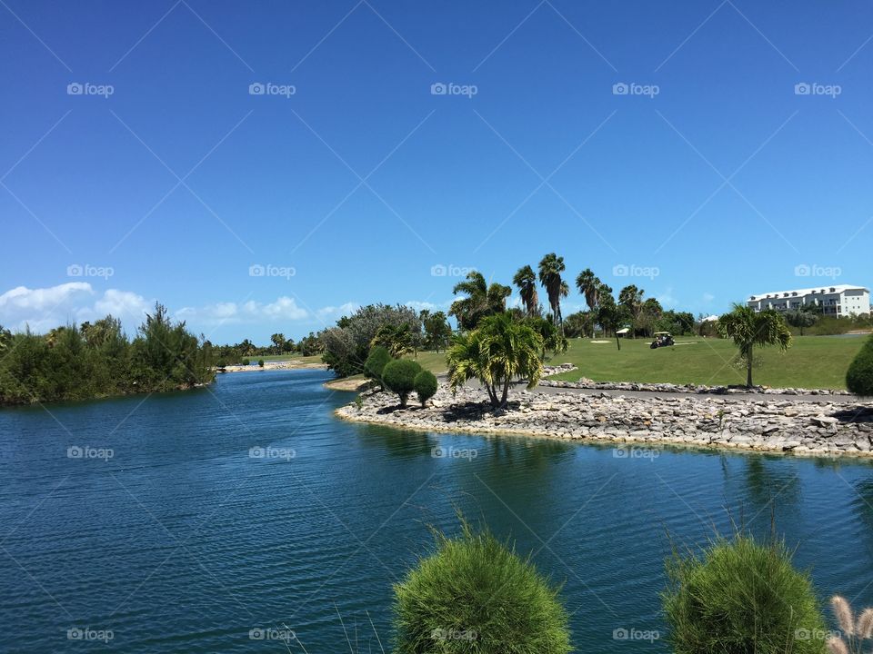 Water, Tree, No Person, Lake, River