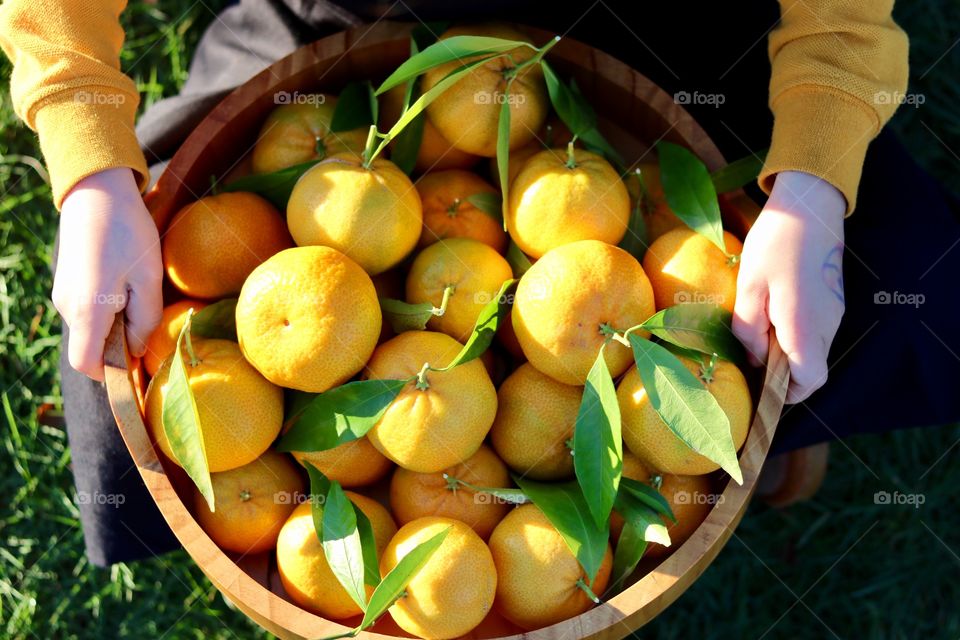 Organic fruits